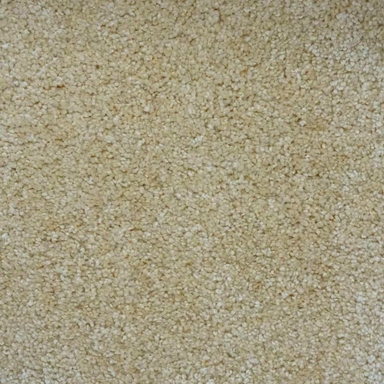 Harbour Grace Saxony Carpet