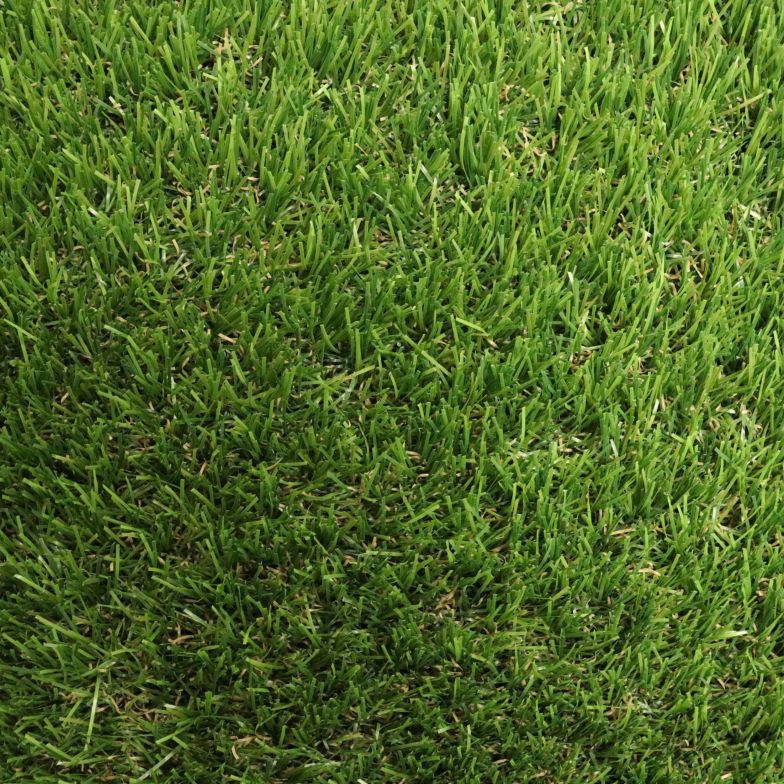 Merion Artificial Grass