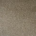 Montrose Twist Carpet