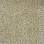 Harbour Grace Saxony Carpet