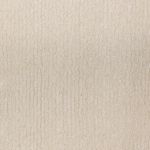 Camillia Saxony Carpet