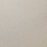 Asylum Saxony Carpet