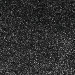 Bolton Saxony Carpet