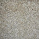 Cosmos Saxony Carpet