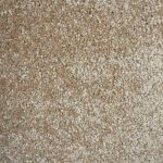 Princeton Saxony Carpet