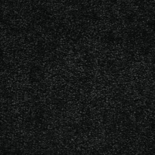 Cosmos Saxony Carpet