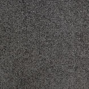 Asylum Saxony Carpet