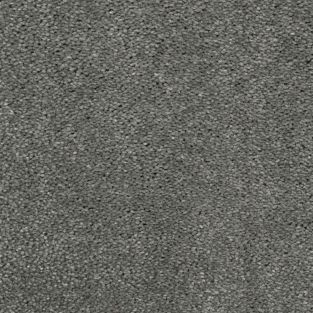 Portia Velvet Carpet