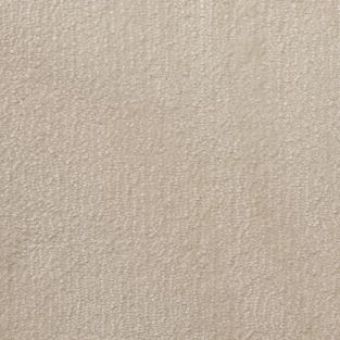 Camillia Saxony Carpet